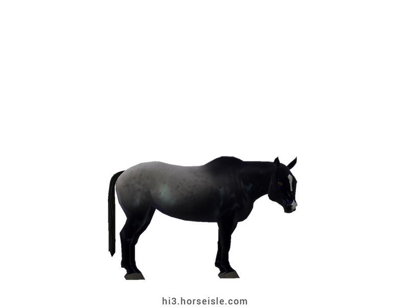 Cow-pony Omby Blue Roan Coat
